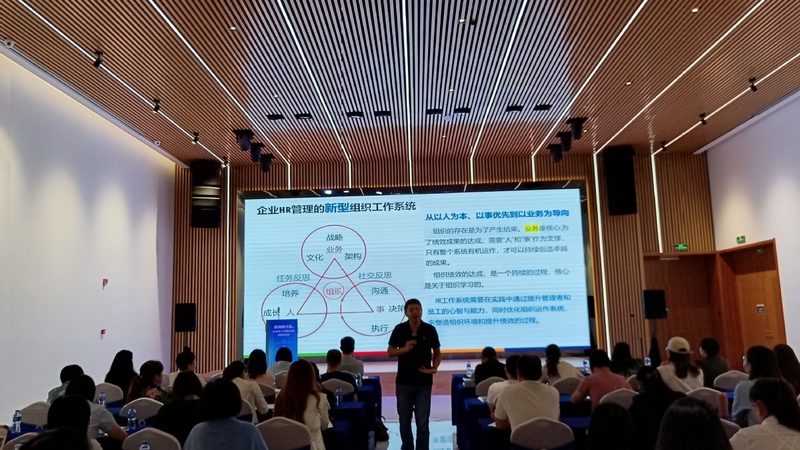 薪酬外包系统参数优化：揭秘提升效率的关键点